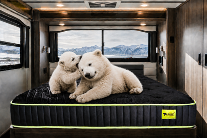 Polar CUB 10-inch RV mattress with HD memory foam and cooling comfort, shown in an RV bedroom with two playful polar bear cubs on the mattress.