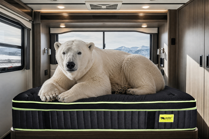 Polar PA luxury RV mattress with 2400 pocket coils and memory foam shown in an RV bedroom with a polar bear on top.