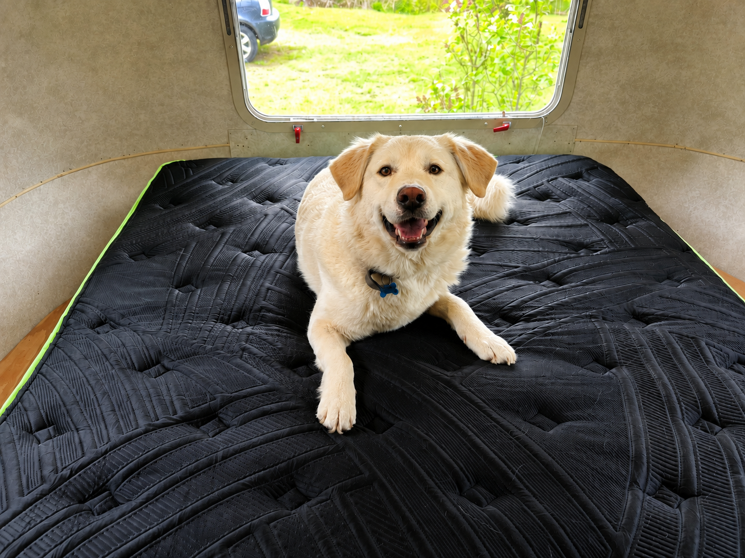 White dog relaxing on a PolarBed mattress inside an RV trailer