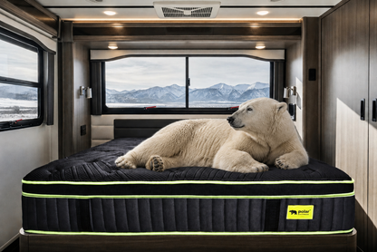 Polar MA RV mattress with pocket coil support and memory foam comfort, shown in an RV bedroom with a polar bear resting on the mattress.